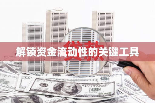 赵县解锁资金流动性的关键工具