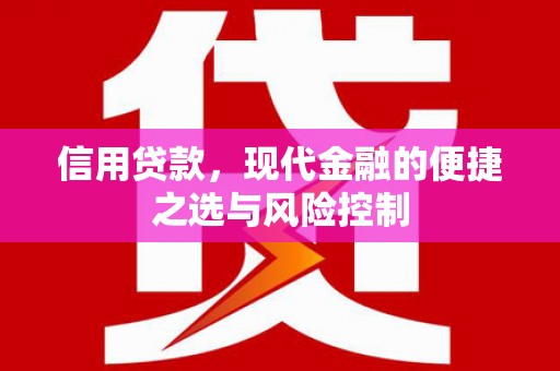 赵县信用贷款，现代金融的便捷之选与风险控制