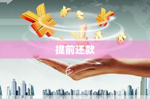 赵县提前还款