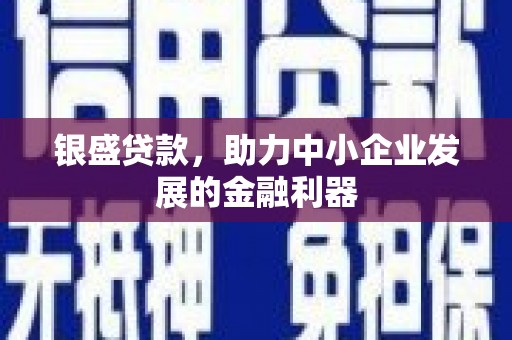 赵县银盛贷款，助力中小企业发展的金融利器