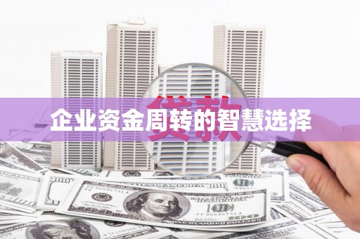 赵县企业资金周转的智慧选择