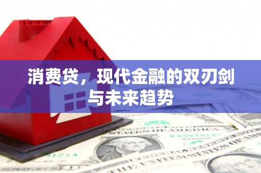 赵县消费贷，现代金融的双刃剑与未来趋势