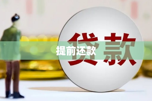 赵县提前还款