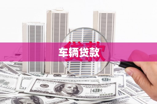 赵县车辆贷款