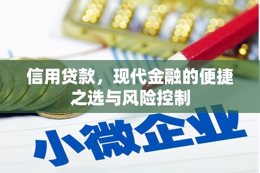 赵县信用贷款，现代金融的便捷之选与风险控制