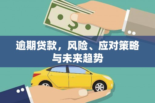赵县逾期贷款，风险、应对策略与未来趋势