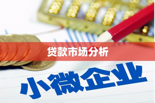 赵县贷款市场分析