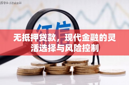 赵县无抵押贷款，现代金融的灵活选择与风险控制