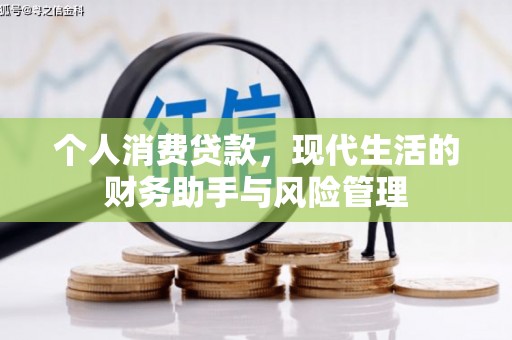 赵县个人消费贷款，现代生活的财务助手与风险管理