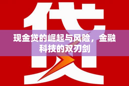 赵县现金贷的崛起与风险，金融科技的双刃剑