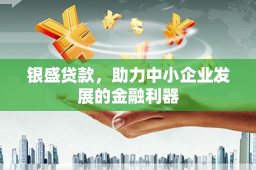 赵县银盛贷款，助力中小企业发展的金融利器