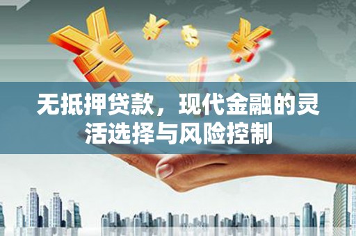 赵县无抵押贷款，现代金融的灵活选择与风险控制