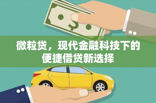 赵县微粒贷，现代金融科技下的便捷借贷新选择