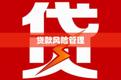 赵县贷款风险管理