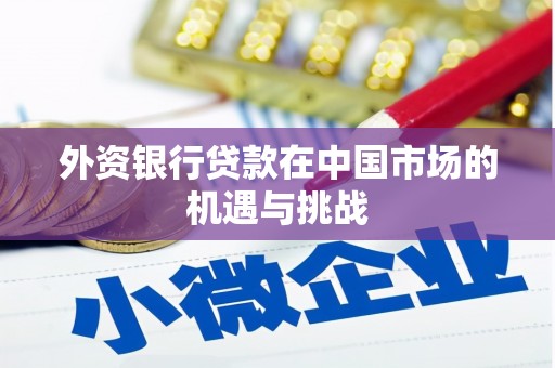 赵县外资银行贷款在中国市场的机遇与挑战