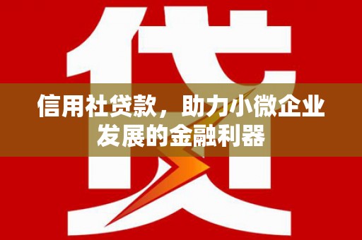 赵县信用社贷款，助力小微企业发展的金融利器