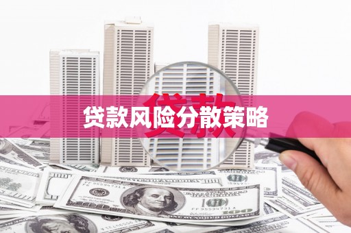 赵县贷款风险分散策略