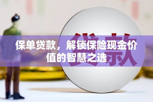 赵县保单贷款，解锁保险现金价值的智慧之选