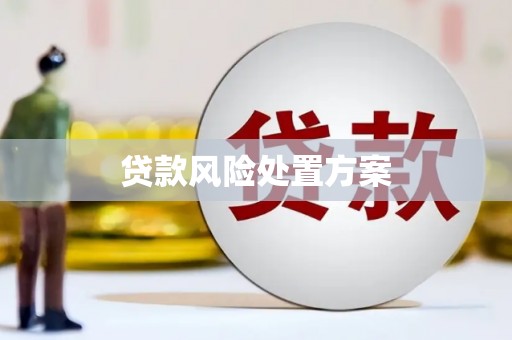 赵县贷款风险处置方案