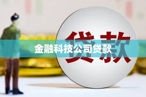 赵县金融科技公司贷款