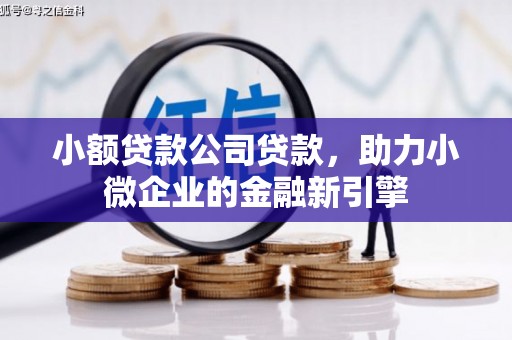 赵县小额贷款公司贷款，助力小微企业的金融新引擎
