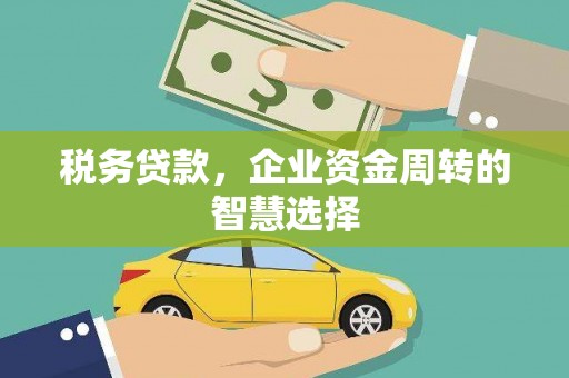 赵县税务贷款，企业资金周转的智慧选择