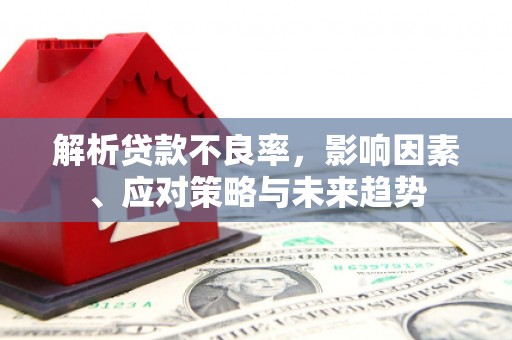赵县解析贷款不良率，影响因素、应对策略与未来趋势