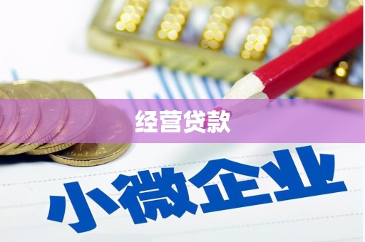 赵县经营贷款