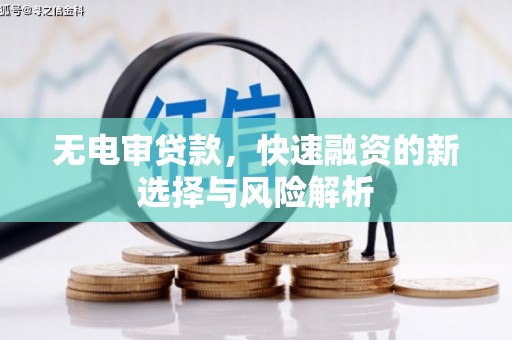 赵县无电审贷款，快速融资的新选择与风险解析
