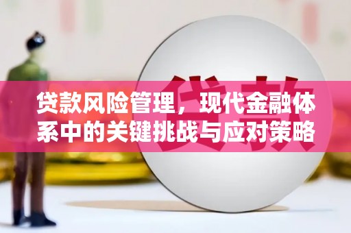 赵县贷款风险管理，现代金融体系中的关键挑战与应对策略