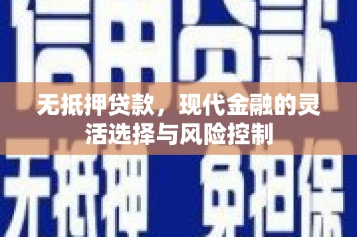 赵县无抵押贷款，现代金融的灵活选择与风险控制