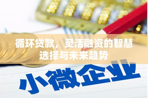 赵县循环贷款，灵活融资的智慧选择与未来趋势