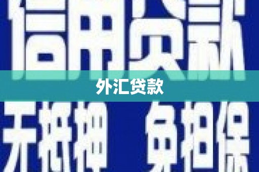 赵县外汇贷款