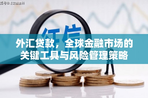 赵县外汇贷款，全球金融市场的关键工具与风险管理策略