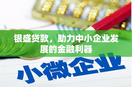 赵县银盛贷款，助力中小企业发展的金融利器