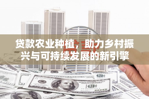 赵县贷款农业种植，助力乡村振兴与可持续发展的新引擎
