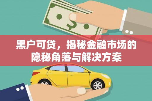 赵县黑户可贷，揭秘金融市场的隐秘角落与解决方案