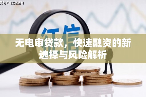 赵县无电审贷款，快速融资的新选择与风险解析