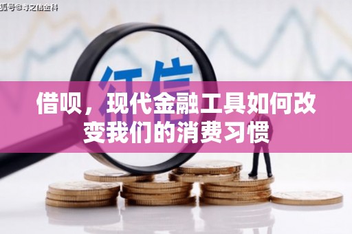 赵县借呗，现代金融工具如何改变我们的消费习惯
