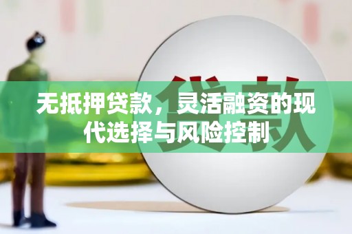 赵县无抵押贷款，灵活融资的现代选择与风险控制