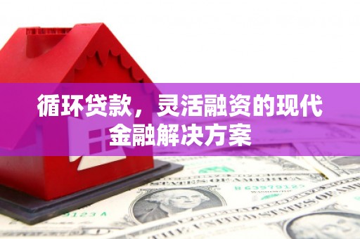 赵县循环贷款，灵活融资的现代金融解决方案