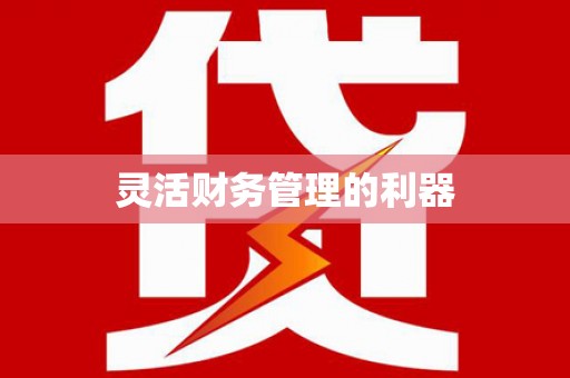 赵县灵活财务管理的利器