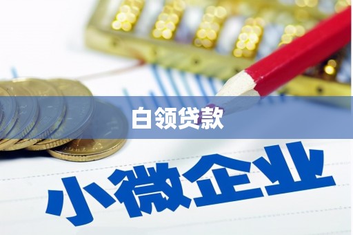赵县白领贷款