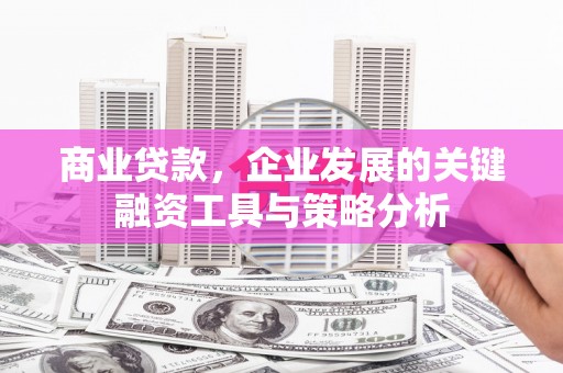 赵县商业贷款，企业发展的关键融资工具与策略分析