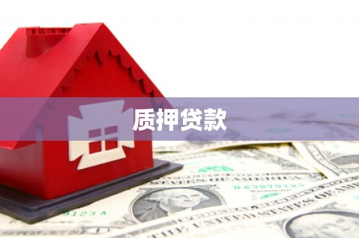 赵县质押贷款