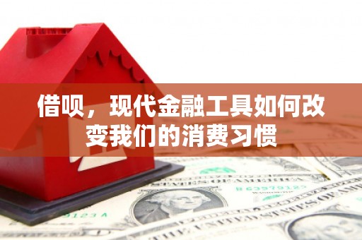 赵县借呗，现代金融工具如何改变我们的消费习惯