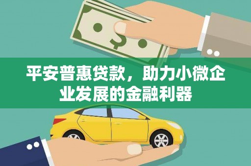 赵县平安普惠贷款，助力小微企业发展的金融利器