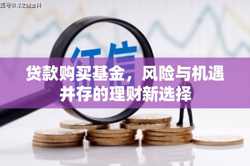赵县贷款购买基金，风险与机遇并存的理财新选择