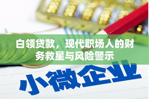 赵县白领贷款，现代职场人的财务救星与风险警示