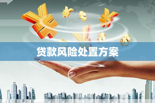 赵县贷款风险处置方案